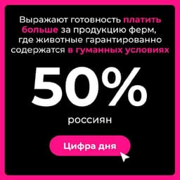 Исследование image preview