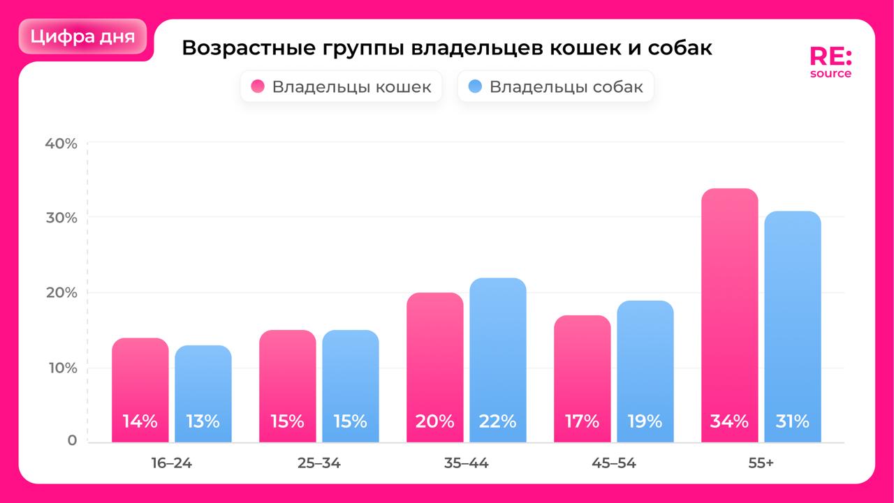 🔹🔹🔹 image preview